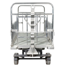 Standard airport luggage cart/airport baggage cart/foldable luggage cart